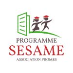 Logo Amies et Partenaire-01